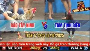 Trận 17 CPC5 13/10/2025 - Anh Bảo Tây Ninh Và Anh Tám Tịnh Biên