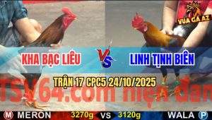 Trận 17 CPC5 24/10/2025 - Anh Kha Bạc Liêu Và Anh Linh Tịnh Biên