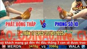 Trận 17 CPC5 31/10/2025 - Anh Phát Đồng Tháp Và Anh Phong Số 10