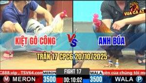 Trận 17 CPC6 20/10/2025 - Bướm Anh Kiệt Hạ Gà Que Anh Búa Nhanh Gọn