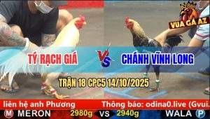 Trận 18 CPC5 14/10/2025 - Anh Tý Rạch Giá và anh Chánh Vĩnh Long