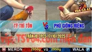 Trận 18 CPC5 17/10/2025 - Anh Tý Trí Tôn Và Anh Phú Giồng Riềng