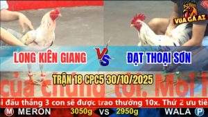 Trận 18 CPC5 30/10/2025 - Anh Long Kiên Giang Và Anh Đạt Thoại Sơn