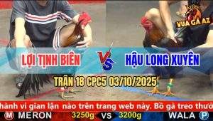Trận 18 CPC5 3/10/2025 - Anh Lợi Tịnh Biên Và Anh Hậu Long Xuyên