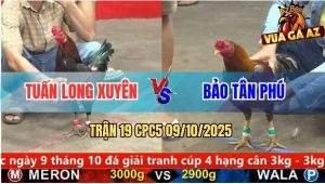 Trận 19 CPC5 9/10/2025 - Anh Tuấn Long Xuyên Và Anh Bảo Tân Phú