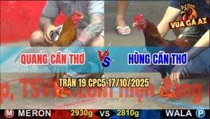 Trận 19 CPC5 17/10/2025 - Anh Quang Cần Thơ Và Anh Hùng Cần Thơ
