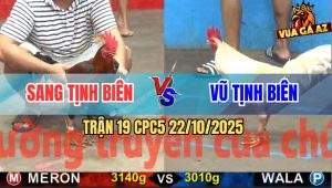 Trận 19 CPC5 22/10/2025 - Anh Sang Tịnh Biên Và Anh Vũ Tịnh Biên