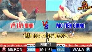 Trận 19 CPC6 25/10/2025 - Bướm Lì Như Trâu Điều Đá không Si Nhê