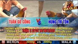 Trận 2 CPC5 16/10/2025 - Anh Tuấn Gò Công Và Anh Hùng Trí Tôn