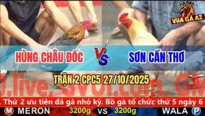 Trận 2 CPC5 27/10/2025 - Anh Hùng Châu Đốc Và Anh Sơn Cần Thơ