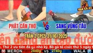 Trận 2 CPC5 31/10/2025 - Anh Phát Cần Thơ Và Anh Sang Vũng Tàu