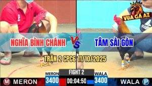 Trận 2 CPC6 11/10/2025 - Gà Điều Anh Tâm Có Chân Phản Lật Kèo Đẳng Cấp