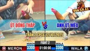Trận 2 CPC6 12/10/2025 - Que Cọp Anh Út Đồng Tháp Hạ Sát Gà Anh Út Mèo