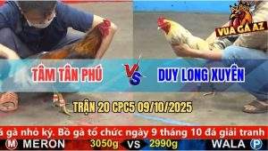 Trận 20 CPC5 9/10/2025 - Anh Tâm Tân Phú Và Anh Duy Long Xuyên