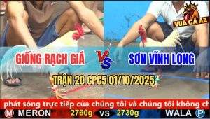 Trận 20 CPC5 1/10/2025 - Anh Giống Rạch Giá Và Anh Sơn Vĩnh Long