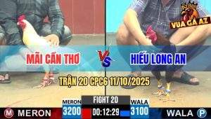Trận 20 CPC6 11/10/2025 - Gà Điều Sáp Vô Siết Cây Nách Bướm Lật Xe