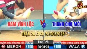 Trận 20 CPC6 25/10/2025 - Úa Đỏ Đá Tang Còn Ăn 3 Phản Lại Chân Bể Nợ