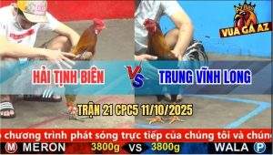 Trận 21 CPC5 11/10/2025 - Anh Hải Tịnh Biên Và Anh Trung Vĩnh Long