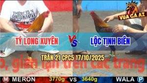 Trận 21 CPC5 17/10/2025 - Anh Tý Long Xuyên Và Anh Lộc Tịnh Biên