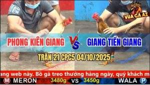 Trận 21 CPC5 4/10/2025 - Anh Phong Kiên Giang Và Anh Giang Tiền Giang