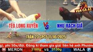 Trận 23 CPC5 11/10/2025 - Anh Tèo Long Xuyên Và Anh Như Rạch Giá