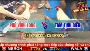 Trận 23 CPC5 13/10/2025 - Anh Phú Vĩnh Long Và Anh Tám Tịnh Biên