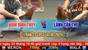 Trận 23 CPC5 14/10/2025 - Anh Nam Bình Thủy Và Anh Lành Cần Thơ