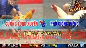 Trận 23 CPC5 17/10/2025 - Anh Cường Long Xuyên Và Anh Phú Giồng Riềng
