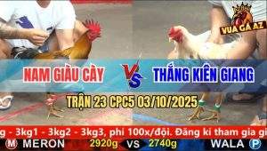 Trận 23 CPC5 3/10/2025 - Anh Nam Giàu Cày Và Anh Thắng Kiên Giang
