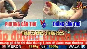 Trận 23 CPC5 31/10/2025 - Anh Phương Cần Thơ Và Anh Thắng Cần Thơ