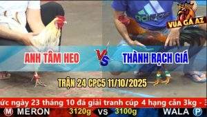 Trận 24 CPC5 11/10/2025 - Anh Tâm Heo Và Anh Thành Rạch Giá