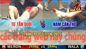 Trận 24 CPC5 17/10/2025 - Anh Tư Tân Quới Và Anh Nam Cần Thơ