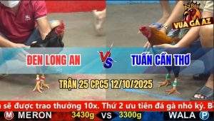 Trận 25 CPC5 12/10/2025 - Anh Đen Long An Và Anh Tuấn Cần Thơ