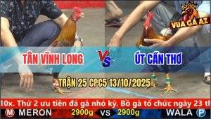 Trận 25 CPC5 13/10/2025 - Anh Tân Vĩnh Long Và Anh Út Cần Thơ