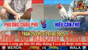 Trận 25 CPC5 29/10/2025 - Anh Phương Châu Phú Và Anh Hiếu Cần Thơ