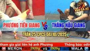 Trận 25 CPC5 4/10/2025 - Anh Phương Tiền Giang Và Anh Thắng Hậu Giang