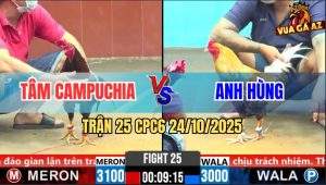 Trận 25 CPC6 24/10/2025 - Cú Kêu Điều Tử Đúng Chân Cổ Cần