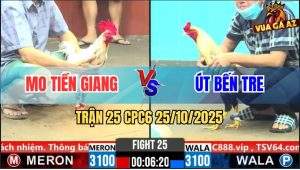 Trận 25 CPC6 25/10/2025 - Chuối Quá Gồng Bướm Theo Không Nổi Rụng Nụ