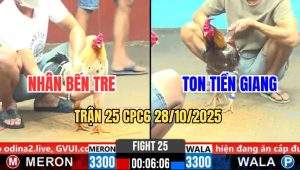 Trận 25 CPC6 28/10/2025 - Bướm Đâm Chân Cuối Xám Anh Ton Thủng Lưng