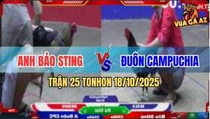Trận 25 TonHon 18/10/2025 - Anh Bảo Sting Gặp Anh Đuôn Campuchia