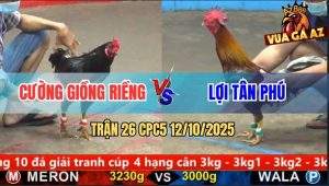 Trận 26 CPC5 12/10/2025 - Anh Cường Giồng Riềng Và Anh Lợi Tân Phú