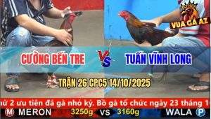 Trận 26 CPC5 14/10/2025 - Anh Cường Bến Tre Và Anh Tuấn Vĩnh Long