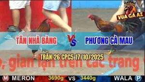Trận 26 CPC5 17/10/2025 - Anh Tân Nhà Bàng Và Anh Phương Cà Mau