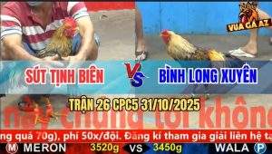 Trận 26 CPC5 31/10/2025 - Anh Sút Tịnh Biên Và Anh Bình Long Xuyên