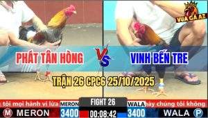Trận 26 CPC6 26/10/2025 - Xám Sơn Siết 1 Hới Gà Điều Chạy Bay Bồ