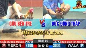 Trận 26 CPC6 31/10/2025 - Điều Bông Anh Gấu Đá Gà Xám Gục Đầu Bỏ Chạy