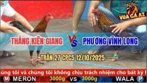 Trận 27 CPC5 12/10/2025 - Anh Thắng Kiên Giang Và Anh Phương Vĩnh Long