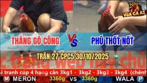 Trận 27 CPC5 30/10/2025 - Anh Thắng Gò Công Và Anh Phú Thốt Nốt