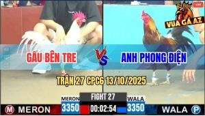 Trận 27 CPC6 13/10/2025 - Gà Úa Anh Gấu Đá Gà Xám Không Nhấc Được Chân