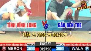 Trận 27 CPC6 29/10/2025 - Que Cọp Anh Gấu Chổi Chân Bướm Gãy Giò